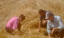 Yalova’da Dane Kaybına Karşı Sıkı Denetim