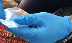 Yalova’da Şok Baskınlar: 5 Kişi Tutuklandı