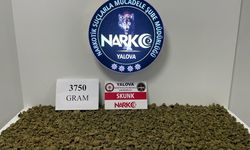 Yalova'da Uyuşturucu Operasyonunda 1 Kişi Tutuklandı