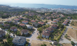 Yalova'da tepki çeken hayvan besleme yasağı