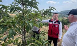 Çiftçiye Yerinde Destek