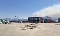 Karamürsel’de Orman Yangını