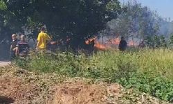Kazimiye Köyü’nde Anız Yangını Seralara Yayıldı