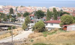 Romanların Geleceği Ne Olacak?