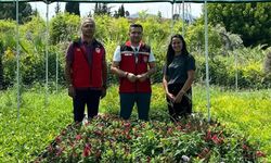 Müdür İlmeç Süs Bitkileri İşletmesini Ziyaret Etti