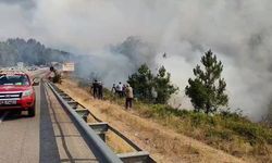 Bolu'daki Yangın Havadan Görüntülendi