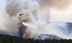Bolu'daki Orman Yangınına Müdahale Sürüyor