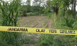 Tarlada Bulunan Kafatası ve Kemikler Jandarmayı Harekete Geçirdi