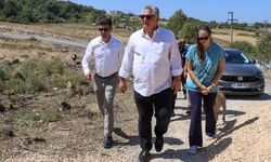 Başkan Gürel, Sokak Hayvanları Barınağındaki Çalışmaları İnceledi