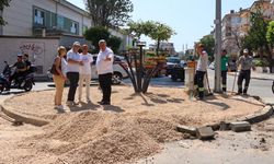 Başkan Gürel Sahada Çalışmaları Yakından Takip Etti
