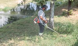Dere Çevrelerinde Yabani Ot Temizliği Devam Ediyor