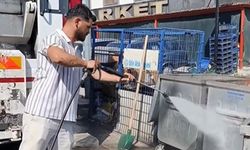 Çınarcık’ta Çöp Konteynerleri Dezenfekte Ediliyor