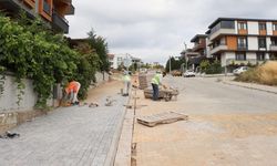 Kazım Karabekir Mahallesi Ege Sokak Parke Kaldırıma Kavuşuyor