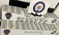 Yalova’da Sahte Polisler 3 Milyonluk Döviz Aldı, Kocaeli’de Yakalandı
