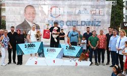 Yalova’nın En Güzel Köpekleri Seçildi