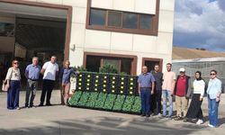 60 Bin Lahana Fidesi 12 Üreticiye Teslim Edildi