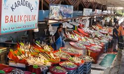 Bu Kış Balıkseverler Çok Mutlu Olacak