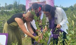 Yalova, Aronya Hasadında Buluştu