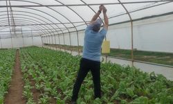 Tarımda Denetimler Devam Ediyor