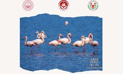 Hersek Lagününde Kuşları Gözlemleyecekler