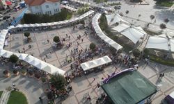 "Yalova Aronya Festivali" renkli görüntülerle başladı