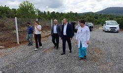 Çınarcık’a Sokak Hayvanları Bakımevi Geliyor