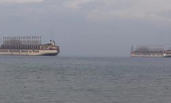 Marmara’da Av Sahası Düzenlemesi: İstanbul Kazandı, Yalova Kaybetti!