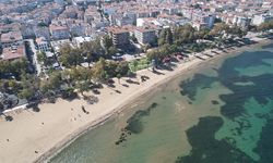 JMO Yalova İl Temsilciliği; Deniz Çekilmesinin Depremle Doğrudan Bir İlişkisi Yok!