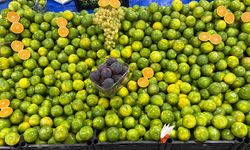 Pazardaki Sebze ve Meyve Fiyatları Cep Yakıyor