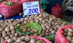 Yalova’da Pazar Tezgâhlarında İstikrar Hakim