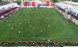 Altınova’nın Pehlivanları Elmalı İçin Yola Çıktı