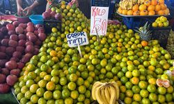 Yalova’da Sebze ve Meyve Fiyatları Güncellendi