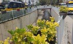 Çınarcık Daha da Güzelleşiyor