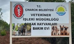 Esenköy’den Can Dostlara Özenli Bakım