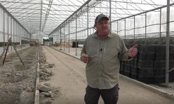 Yalova’da Bodur İncir Heyecanı: “Bizim İçin Ufak Bir Adım, Bölgemiz İçin Büyük Bir Umut”