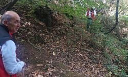 Kestane Gal Arısı İçin Numune Alımı Yapıldı