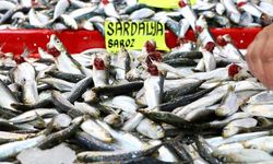 “Sardalyası Hafızaya İyi Geliyor”