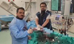 Yalova Üniversitesi Tıp Fakültesi’nden Bir İlk: Beyin Anevrizması Başarıyla Tedavi Edildi