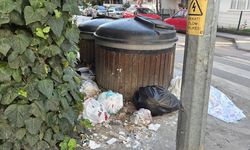 Yalova’da Çöp Sorunu Bitmiyor: Kaldırımlar Çöp Noktasına Dönüştü