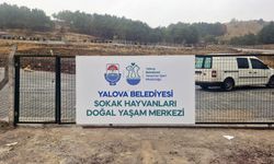 4 Ekim’de Sokak Hayvanları İçin Anlamlı Açılış