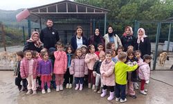 Beyaz Zambak Kreşi Öğrencilerinden Barınaktaki Patili Dostlara Sevgi Dolu Ziyaret