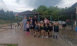 Minik Kalplerden Patili Dostlara Sevgi Dolu Ziyaret