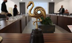 Yalova Uluslararası Film Festivali Başlıyor!