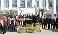 Çiftçilere 428 Bin Adet Kıvırcık ve Pazı Fidesi Dağıtıldı