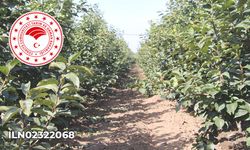 Meyve Suyu Üretim Makinesi Alınacak