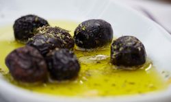 2025 Yılı Zeytin Hasadı Armutlu’da Başladı