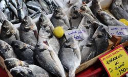 Altınova’da Balık Fiyatları Cep Yakıyor Tezgâhlarda En Pahalı Balık Çinekop–Sarıkanat