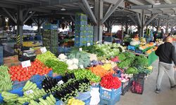 Altınova’da Her Bahçede Var, Pazarda Yok