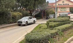 Armutlu’da Haşereye Geçit Yok