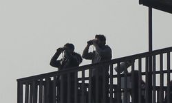 Hersek Lagünü'nde flamingo popülasyonu artıyor